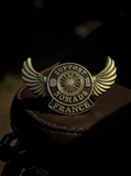 Broche wings and wheel